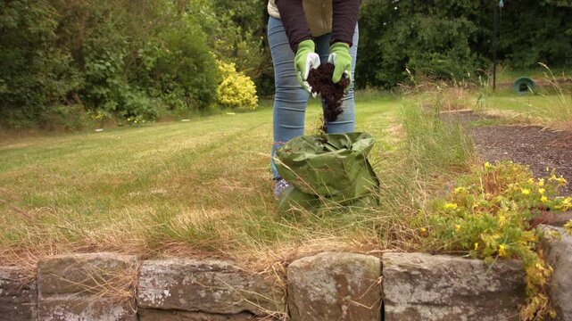 Gardener putting soil compost in green grow bag