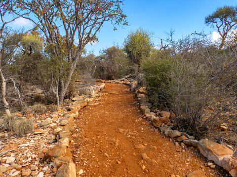 The Trail to Aven (Vintany) Cave, Tsimanampetsotsa National Park, Madagascar