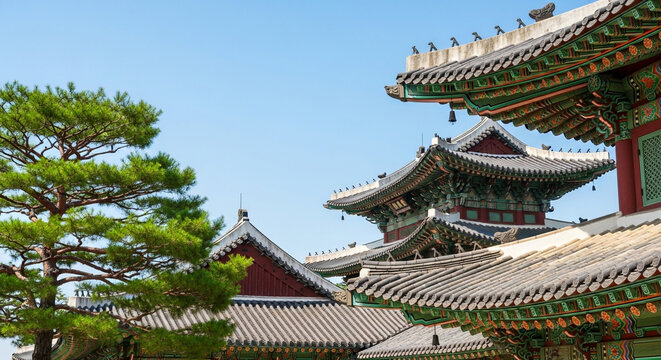 Traditional Korean Palace Architecture Featuring Ornate Tiled Roofs and Green Pine Tree under Clear Blue Sky
