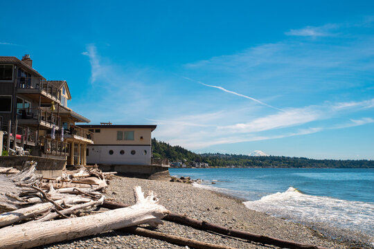 seattle beach house with driftwood
