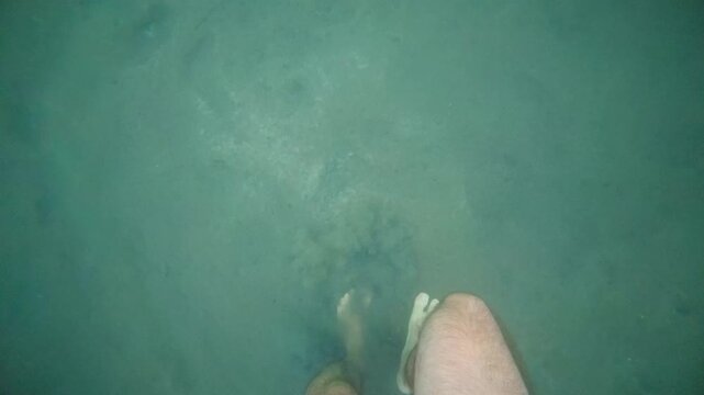 Person's leg and foot submerged in murky green water, swimming or wading in a lake or river showing sediment