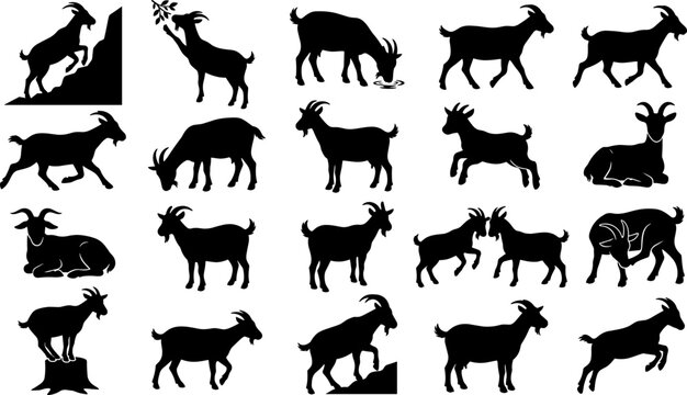 Goat silhouettes set featuring farm animals and wild mountain ibex in various poses for logo design and vector graphics