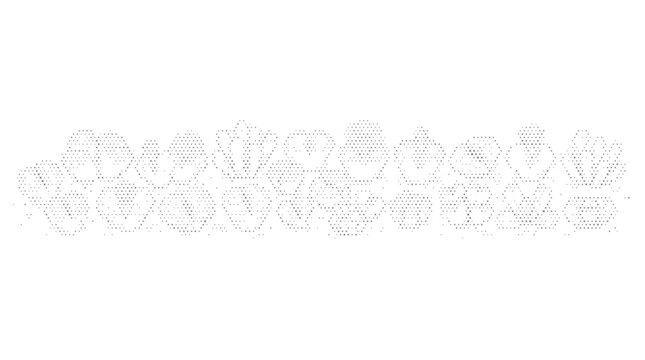 lithop folk engraving nature plant collection flora botanical flower leaf blossom ethnic cross stitch embroidery vector illustration graphic design