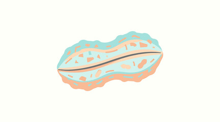Colorful illustration of a clam shell. © Ubay