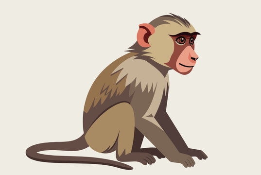 Wild macaque monkey vector illustration shown in side profile view sitting peacefully against a plain light background.