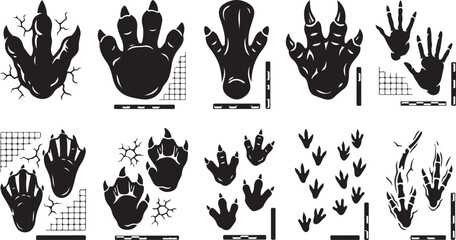 Set of black silhouette dinosaur footprints and tracks, including various theropod and raptor claw marks with scale rulers and cracked ground textures on a white background © MdAbu