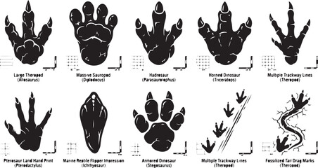 Set of ten black and white dinosaur footprint including theropod, sauropod, hadrosaur, horned dinosaur, pterosaur, marine reptile flipper, and fossilized trackway impressions with labels © MdAbu