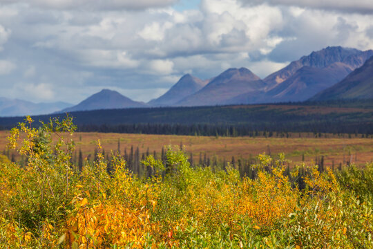 Autumn in Alaska