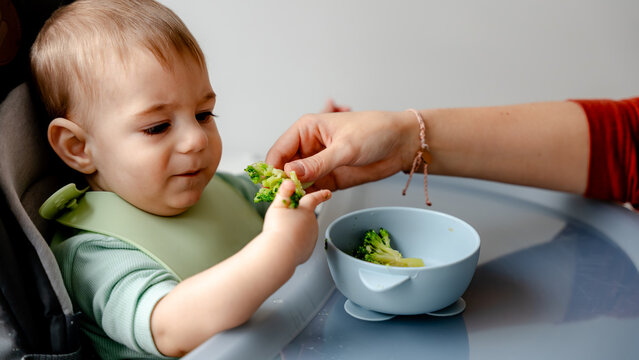 Baby exploring food through baby-led weaning.