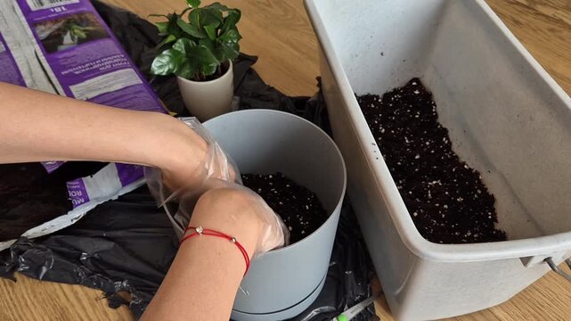 Mixing fresh potting soil with perlite in a large container for healthy houseplant repotting