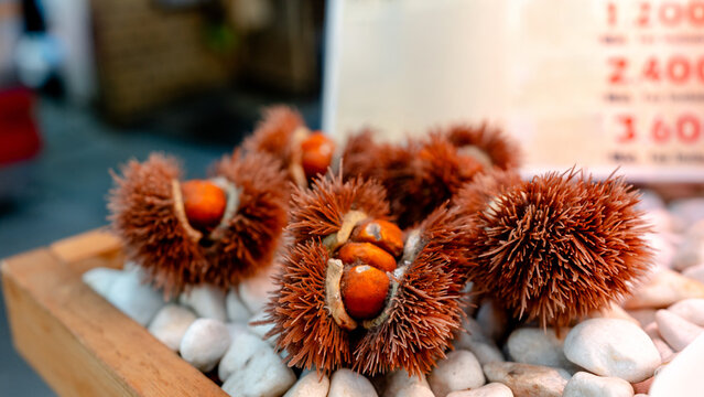 Fresh chestnuts at Kuromon Ichiba Market, Osaka, Japan