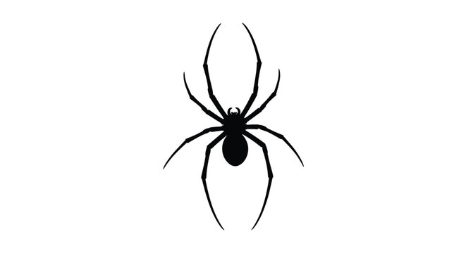 Black spider silhouette with long creepy legs shown from top view, isolated on a solid white background.