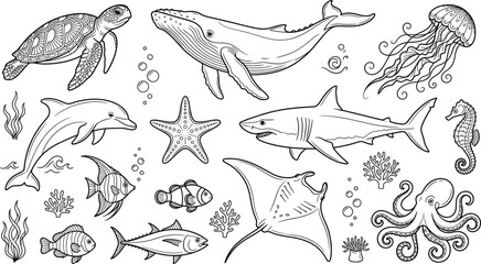 Sea life marine animal vector illustration set line art featuring whale shark turtle dolphin octopus and coral reef © vector design 
