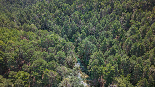 Nacimiento del R&iacute;o Cuervo , a&eacute;rea sobre las cascadas y el rio que le aporta el caudal.