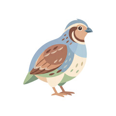 Obraz premium Quail Illustration: A charming, stylized illustration of a quail with its distinctive markings and alert stance. Perfect for educational materials or nature-themed designs.