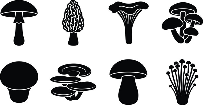 Collection of edible mushroom black silhouettes including chanterelle morel porcini enoki and shiitake isolated on white background