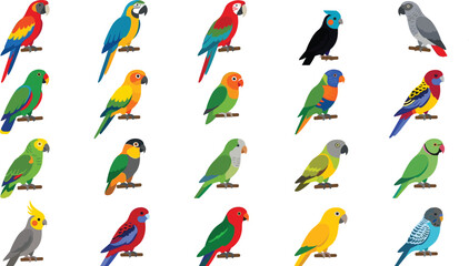 Colorful Exotic Parrot Species and Tropical Birds Vector Illustration Set © Nurjahan