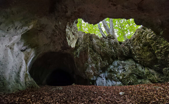 View from inside Kőr&ouml;s-lyuk Cave toward the forested entrance in B&uuml;kk National Park, northern Hungary. Natural limestone formations frame the cave opening beneath a leafy deciduous woodland.