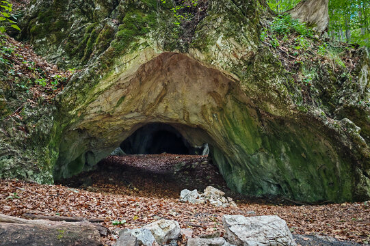 Wide view of the natural entrance of Kőr&ouml;s-lyuk Cave in the B&uuml;kk Mountains, northeastern Hungary, surrounded by limestone cliffs and lush beech forest.