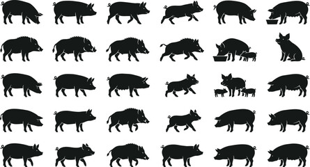Pig and Wild Boar Silhouette Collection with Farm Animals Piglets and Black Vector Wildlife Illustration Set © MDKANAL