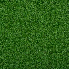Fototapeta premium Top view of green grass texture, seamless lush lawn pattern for garden or sports field