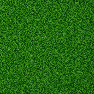 Fresh green grass carpet texture, seamless background pattern of natural turf lawn