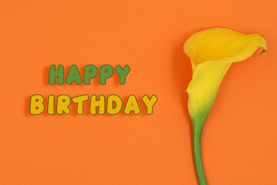 Happy birthday card. Yellow calla lily isolated on an orange background with text.