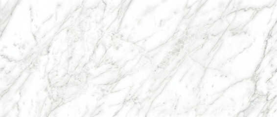 Obraz premium Marble texture background showcasing elegant white and gray natural stone surface with delicate veining perfect for luxury design projects
