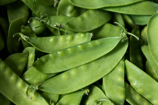 Mangetout or snow peas