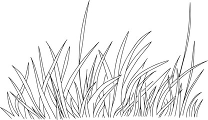 白背景に孤立した野草の茂みのシンプルな白黒線画 © Shoriful