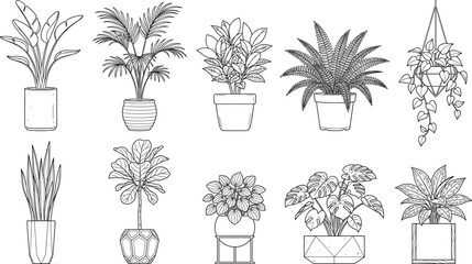 Indoor Houseplants Outline Vector Collection Featuring Tropical Potted Plants Hanging Vines and Botanical Line Art Illustrations © blazingleon