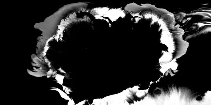 Swirling smoke or ink fluid transition effect. Steam, dust explosion. Black on white background