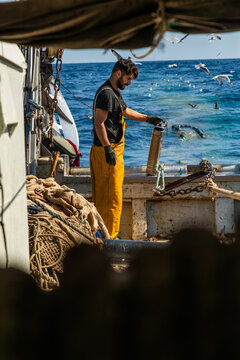 Fisherman working on deck with gear and seabird over sea