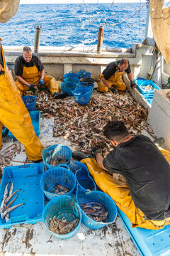 Fishermen sorting seafood catch on trawler deck at sea