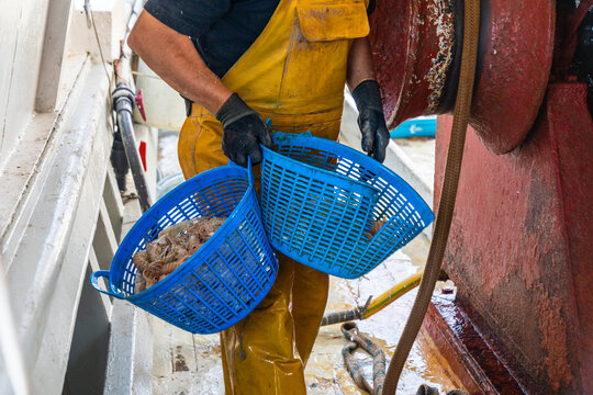 Fisherman carrying shrimp baskets on wet boat deck