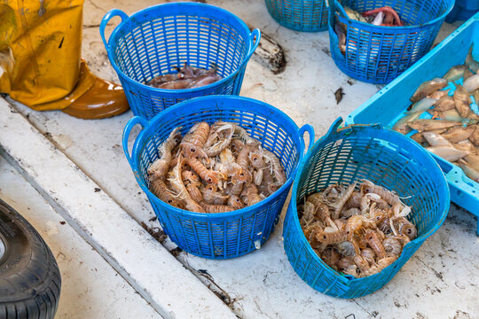 Fresh seafood catch in blue baskets on a fishing boat