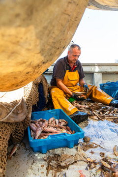Fisherman sorting fresh catch on boat deck in work wear