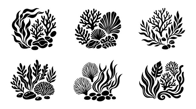Black and white seaweed illustrations set. abstract botanical vector set