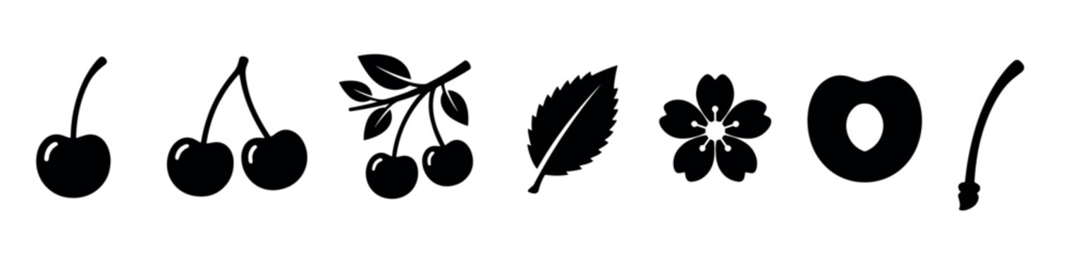 Black silhouette cherry icons displaying ripe fruits, a leafy branch, a delicate blossom, a single leaf, and individual stems, illustrating the plant's components.