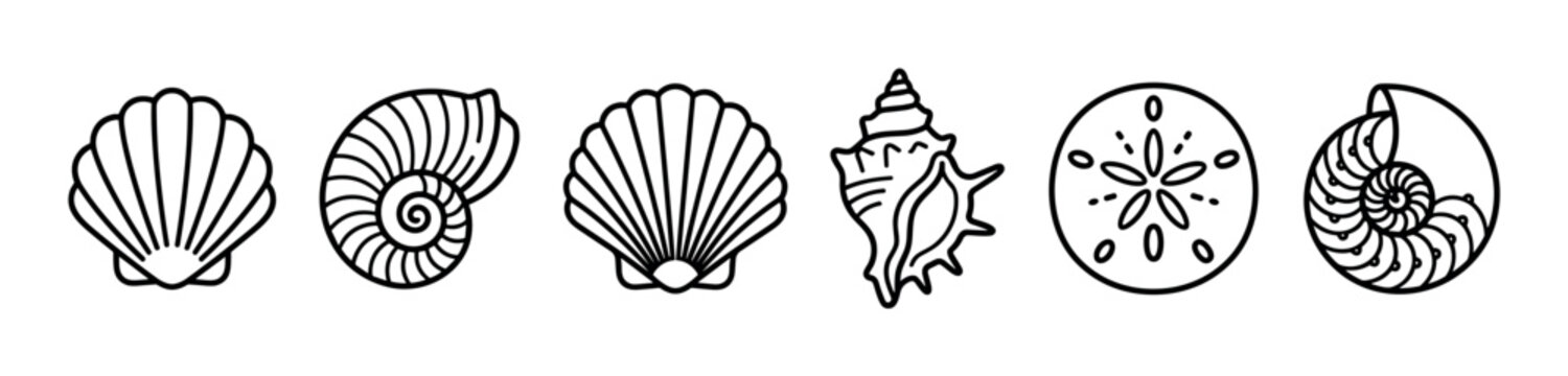 Various sea shells and sand dollar line art illustrations showcase diverse marine life forms with clean, elegant outlines, perfect for creative design elements and patterns.