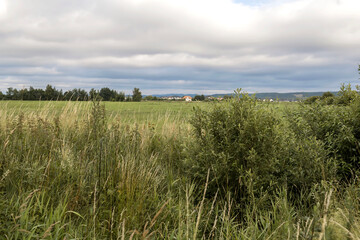 Obraz premium Countryside dirt road through a green field under cloudy sky.A winding sandy dirt road leading through a wild grassy field in the countryside. Beautiful rural landscape with distant hills, green trees