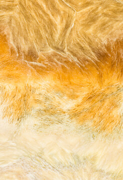 Mineral background, close up