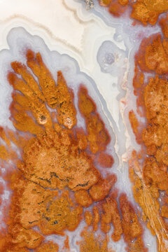Death Valley Plume Agate