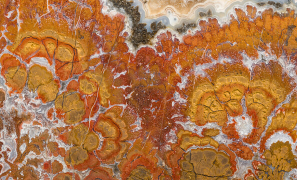 Wingate Pass Plume Agate