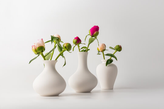 Elegant peonies in vases with minimalist beauty