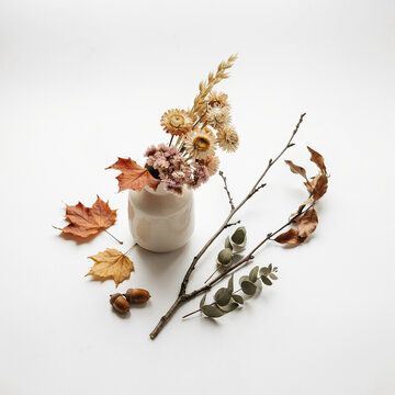 Autumn forest collection with pine cones, acorns and maple leaves. Natural fall harvest elements on white background. Seasonal organic decoration.