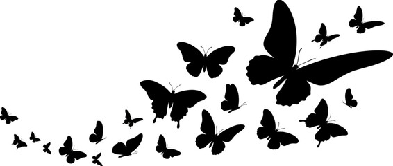 Flock of black butterflies in silhouette flying against a white background © Tiger