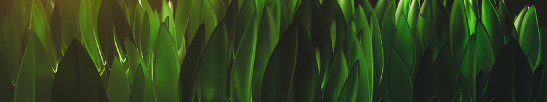 Green leaf background shows layers of green leaves in sunlight