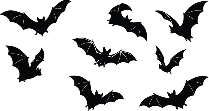 Bats Flying in Silhouette Against a White Background Featuring Bat, Black, Animal with Mammal and Nocturnal Elements for Wing