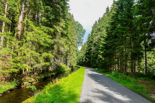 Historic canal beside a quiet forest road